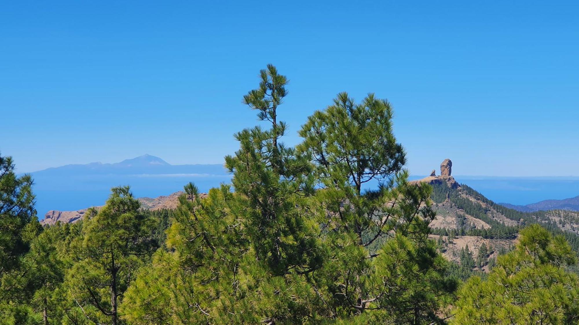 Willa Casa Cueva Paquito Vega de San Mateo Zewnętrze zdjęcie